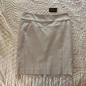 Express Pencil Skirt